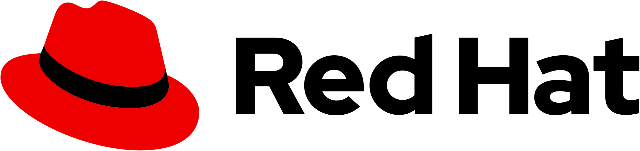 Partner 5